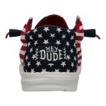 Wally Americana - American Flag