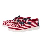 Wally Americana - American Flag