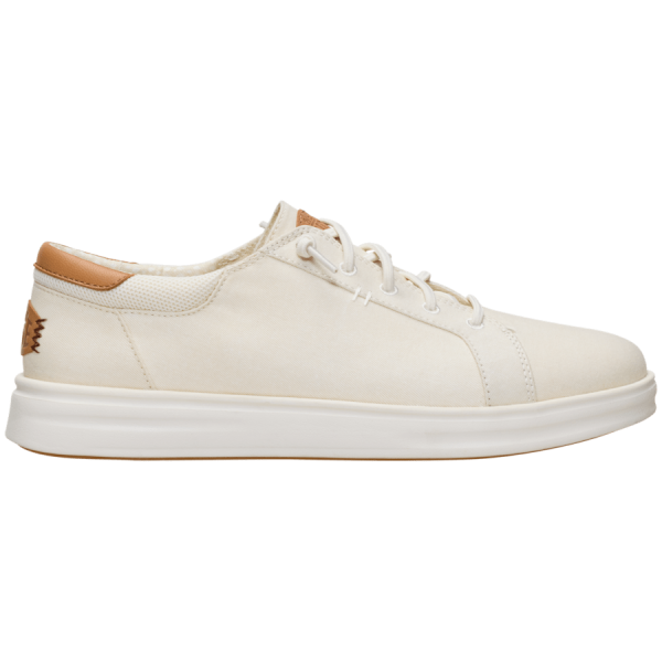 Paul Pro Stretch Canvas